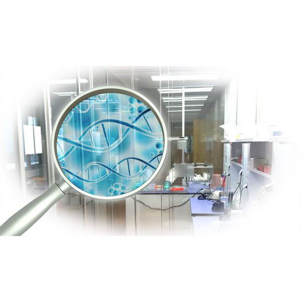 NucleoGene Decontamination Solution