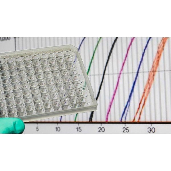 NucleoGene qPCR Probe Master Mix (2X)