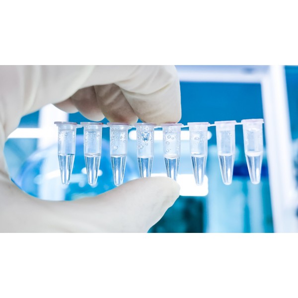 NucleoGene qPCR Sybr Green Master Mix (2X)