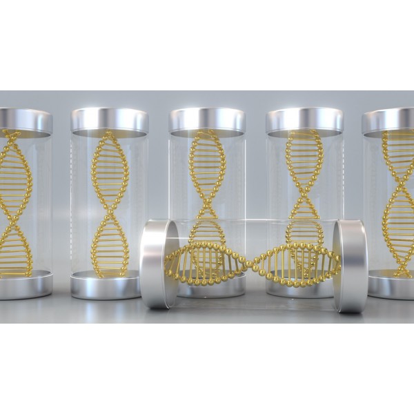 NucleoGene Stabilizer Solutions