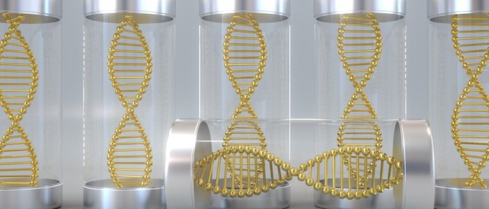 NucleoGene Stabilizer Solutions