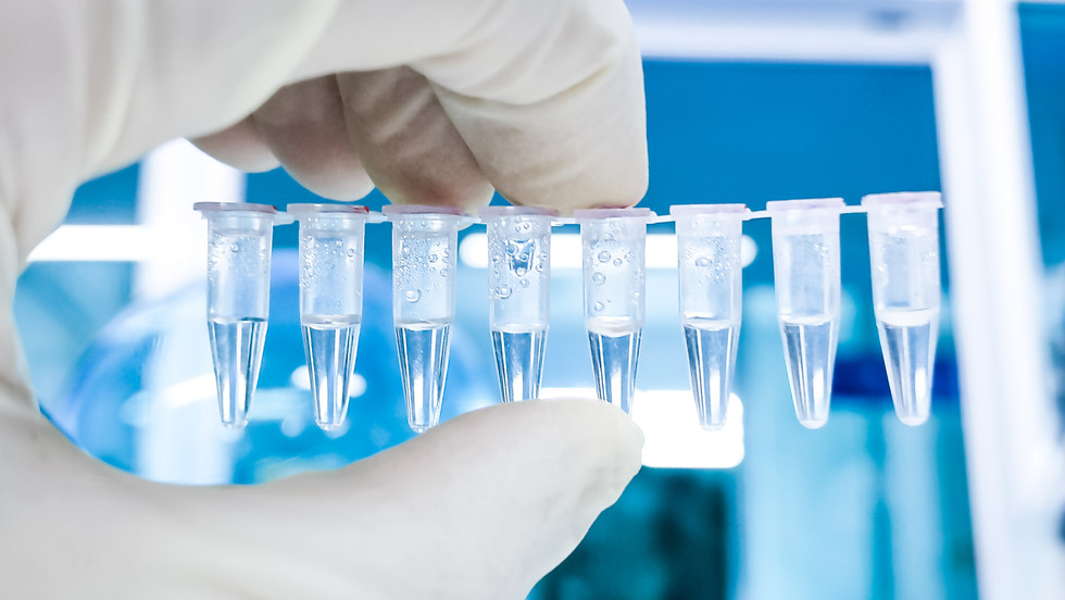 NucleoGene miRNA to cDNA Mix 1